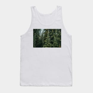 Alpine Evergreen Forest in the Mountains in Summer Tank Top